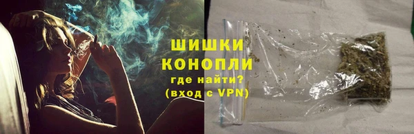 сатива Каменск-Шахтинский