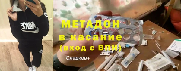 индика Алзамай