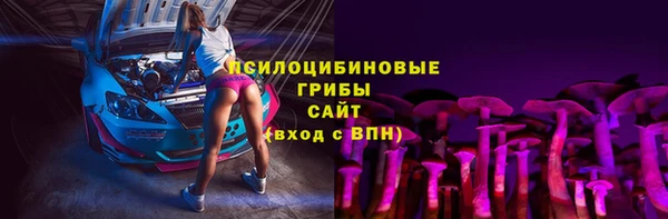 индика Алзамай