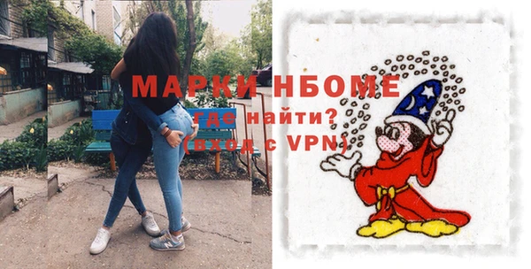 индика Алзамай
