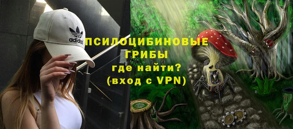 индика Алзамай