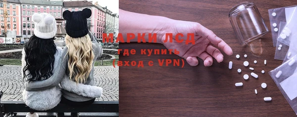 индика Алзамай