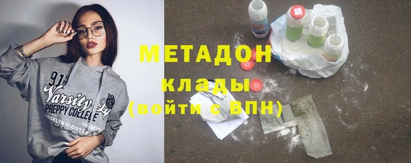 индика Алзамай