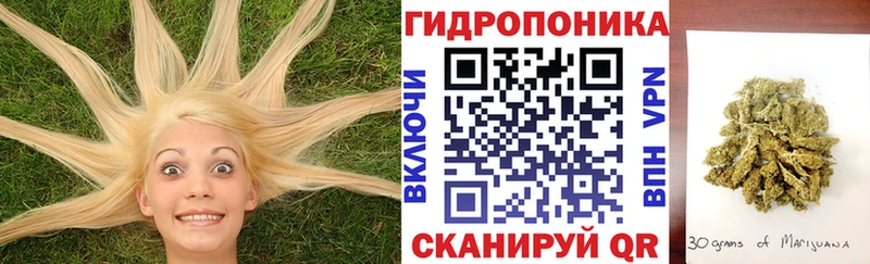 кракен вход  Подольск  Конопля OG Kush 
